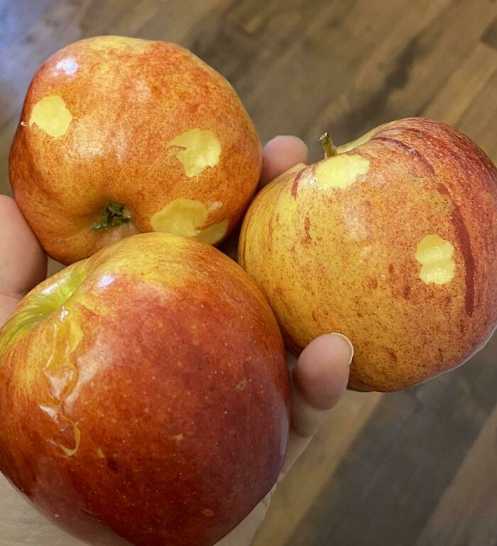 5. 'Show Me You Have a Toddler Without Showing Me Your Toddler.'