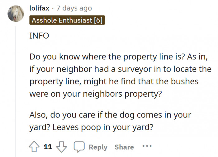 Someone find where that property line is! Please!