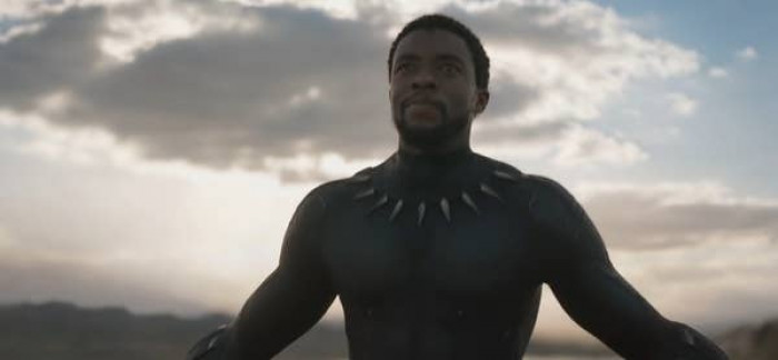 13. Black Panther