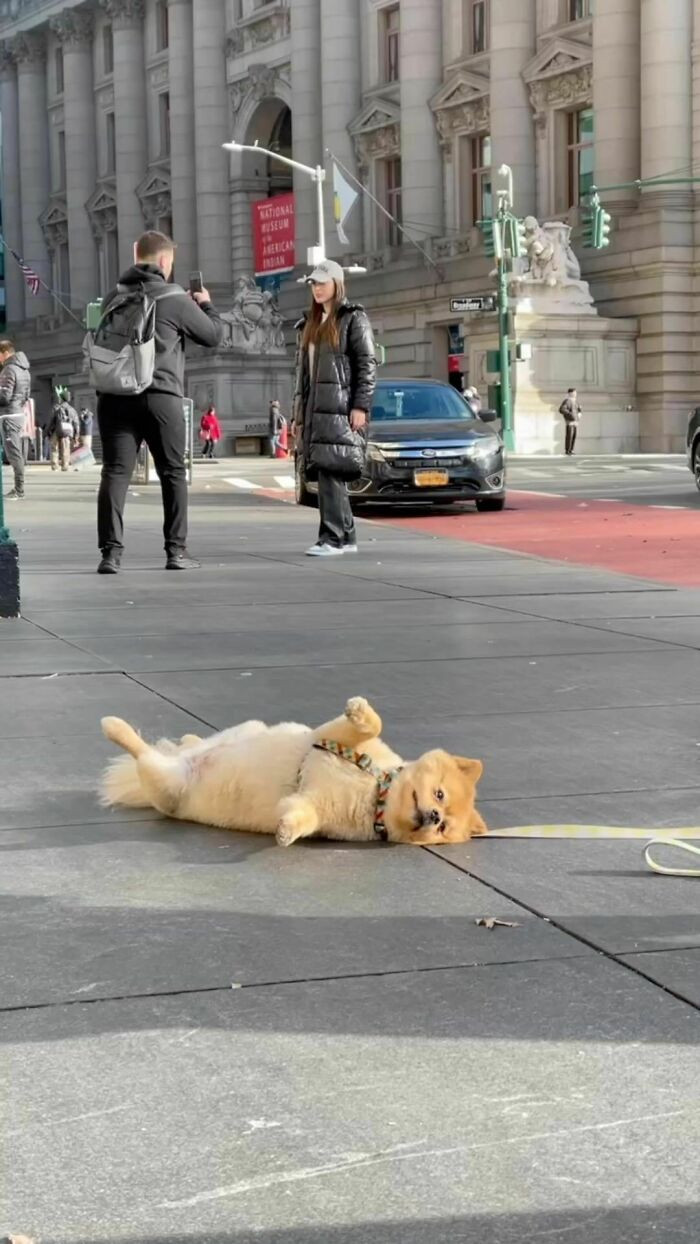 11. I'm uncertain about the current situation, but I am thoroughly enjoying it