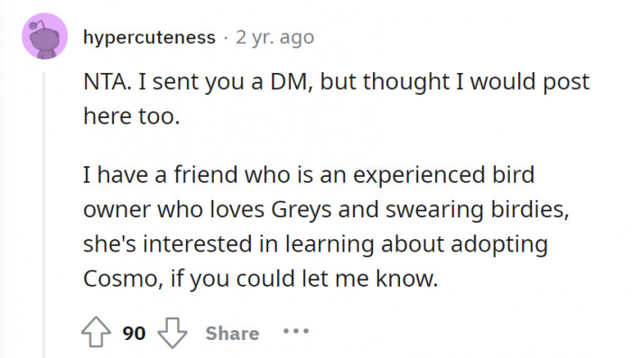 A possible bird adoption? This is a chance for Cosmo to have a permanent home.