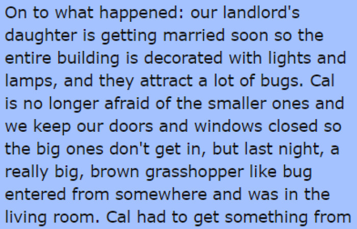 Cal is no longer afraid of small bugs, but the night before the incident, a huge grasshopper entered their house