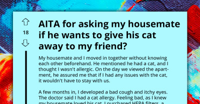 Tenant Demands Housemate Rehome Cat Due to Allergies and Neglect, Sparking Heated Debate