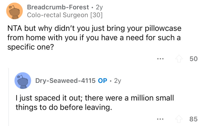 Okay, but why didn't you just bring a pillowcase from home?