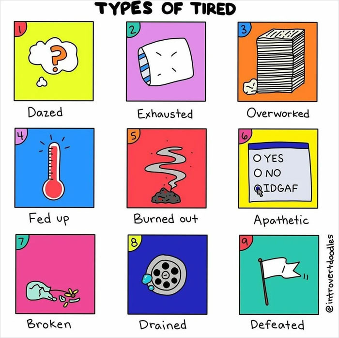 5. Which of the tired are you?