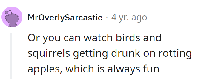 Nature's happy hour: watching tipsy critters on fermented apples!