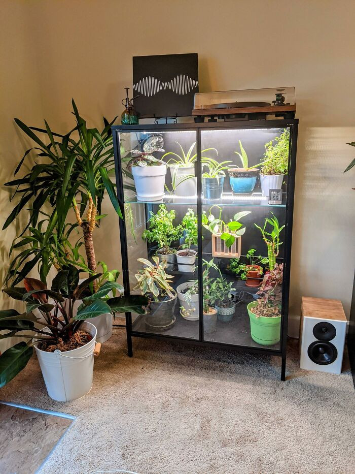 29. Amazing Rudsta greenhouse cabinet