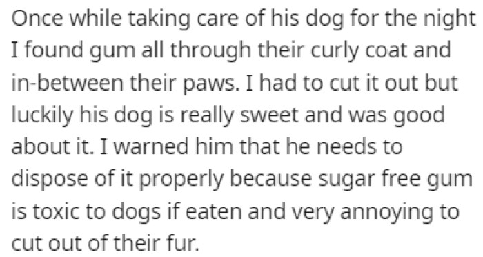 The brother loves to chew gum, and OP once found gum all over their brother's dog while taking care of it