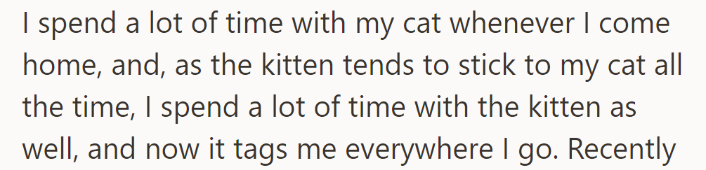 They spend time with their cat and kitten when home, leading the kitten to follow them everywhere.