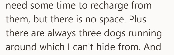 Between the noise and the dogs, it becomes hard to find any calm.
