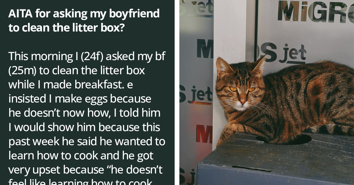 Weaponized Incompetence On Steroids - Man Refuses To Do Even The Simplest Chores His Girlfriend Asks Him To Do