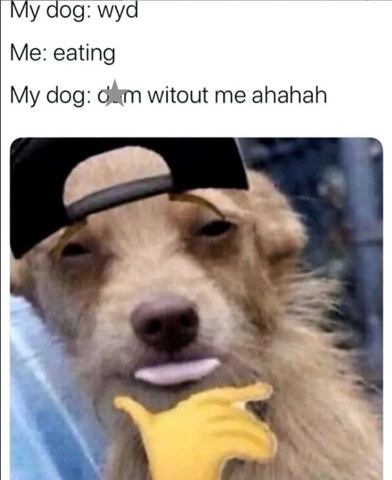 20. This qualifies as a villain origin story, to be honest.