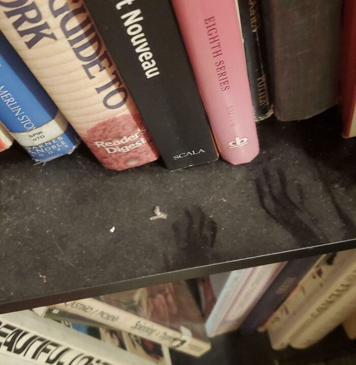 'Left Home For A Couple Of Months, Came Back To Find Tiny Hand Prints'