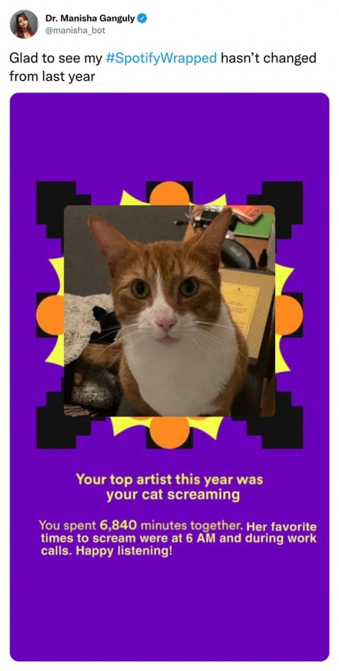 Cat lovers, this is for you.