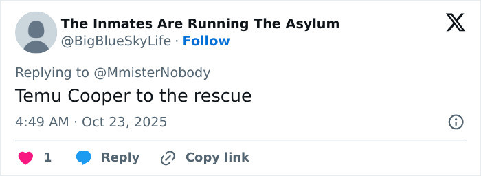 Comment by BigBlueSkyLife