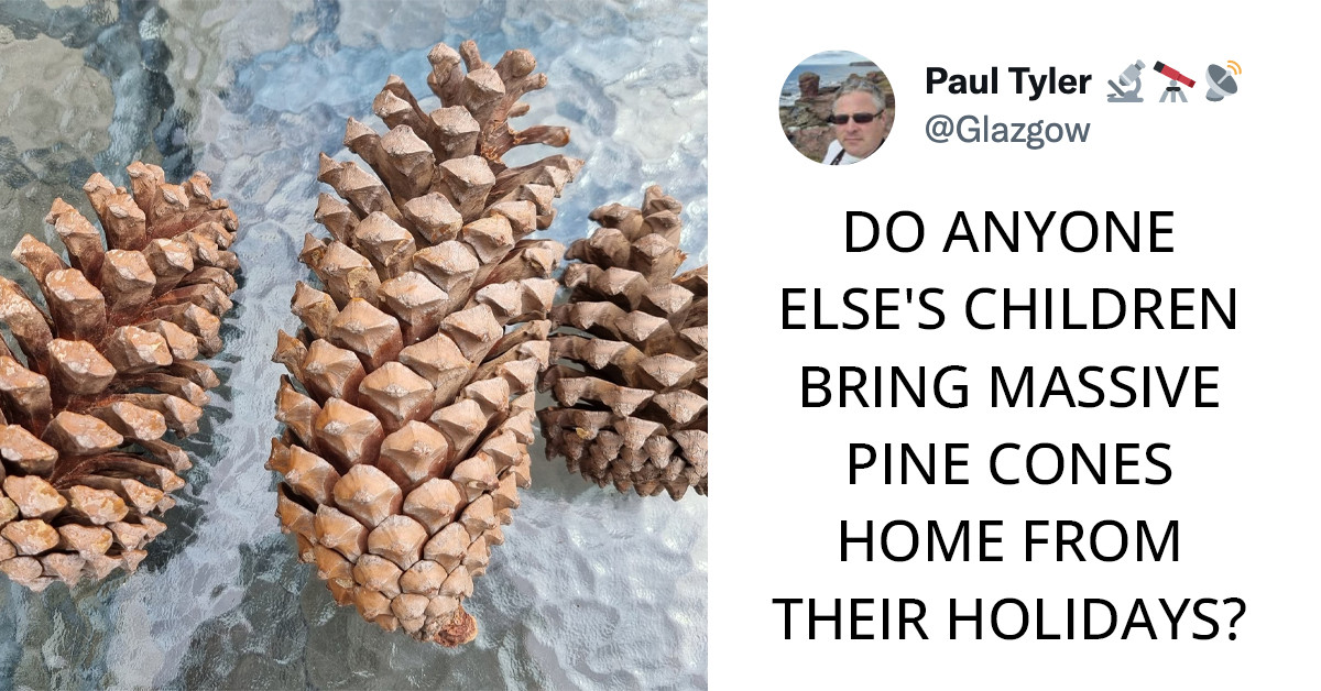 30 Tweets From Parents Who Just Want Summer Gone And Over