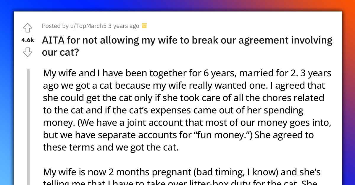 Redditor Gets Blasted Online For Refusing To Help His Pregnant Wife Take Over The Cat’s Litterbox