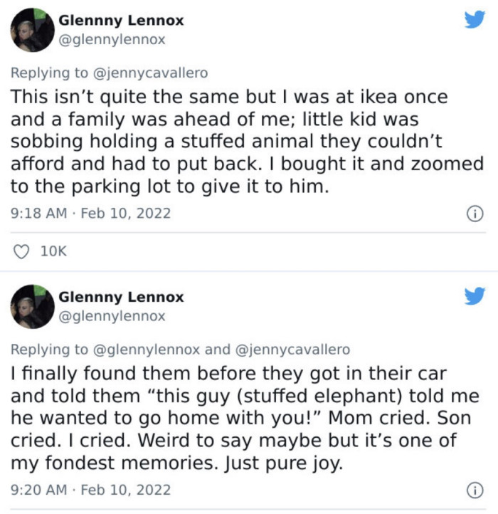 Purchased the Plush Toy