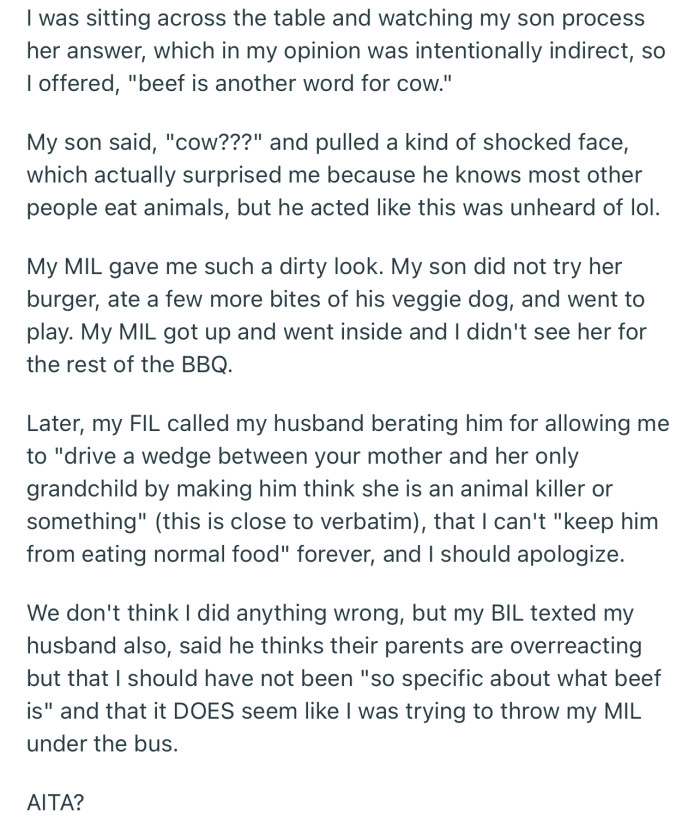 OP interjected with a comment that made her son uninterested in trying out the beef burger. Now the family is concerned that OP might have made MIL appear as an “animal killer” to her grandchild