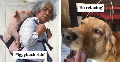 This Instagram Account Is The Feel-Good Corner Of The Internet You Didn’t Know You Needed