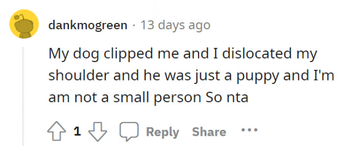 There’s no guarantee that a dog, big or small, cute or cuddly, will be consistently safe. Not even your own pets.