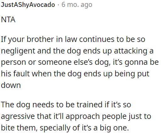 OP's brother-in-law is responsible for the dog's behavior, and if the dog attacks someone or another dog due to his negligence, it will ultimately be his fault.