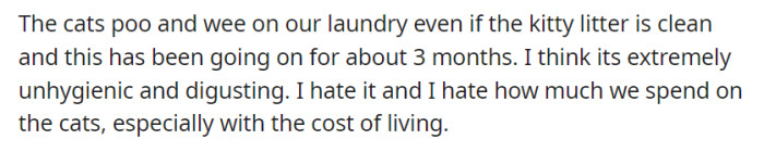 Faced with the ongoing issue of their cats soiling the laundry despite clean kitty litter, coupled with the financial strain and high cost of living, the couple has decided it is time to find a solution.