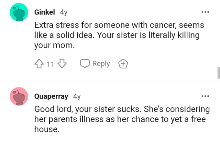 OP's Sister is Literally Killing the Mom, According to This Redditor