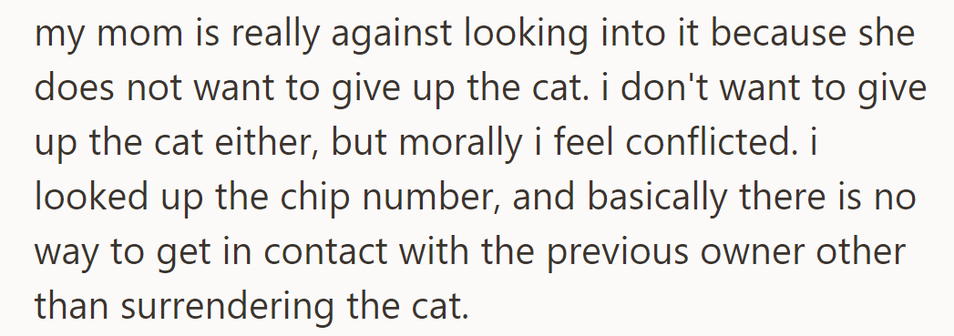 Mom opposes checking the chip; surrendering may be the only way to contact the previous owner.