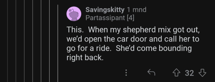 For dogs who love car rides, this is the perfect hack.