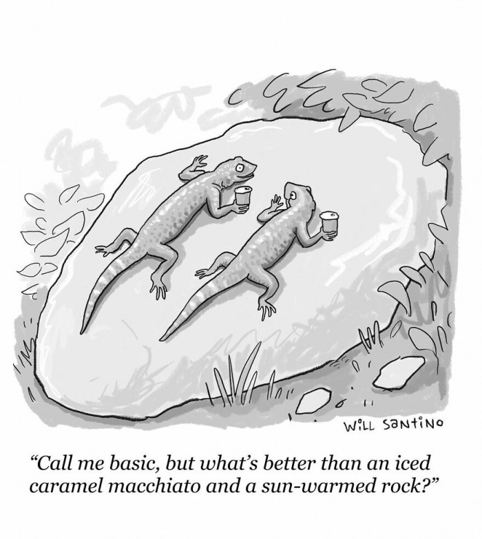 18. Basically nothing, I guess