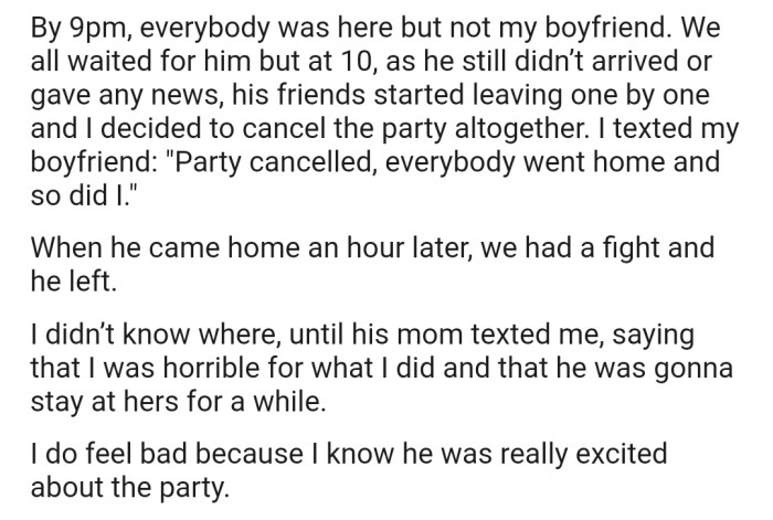 Unfortunately, OP's boyfriend didn't turn up in time, causing his friends to start leaving after they had waited for hours. In the end, the party was canceled. This, however, caused a big fight between both of them, and now his mom has accused OP of being a horrible girlfriend.
