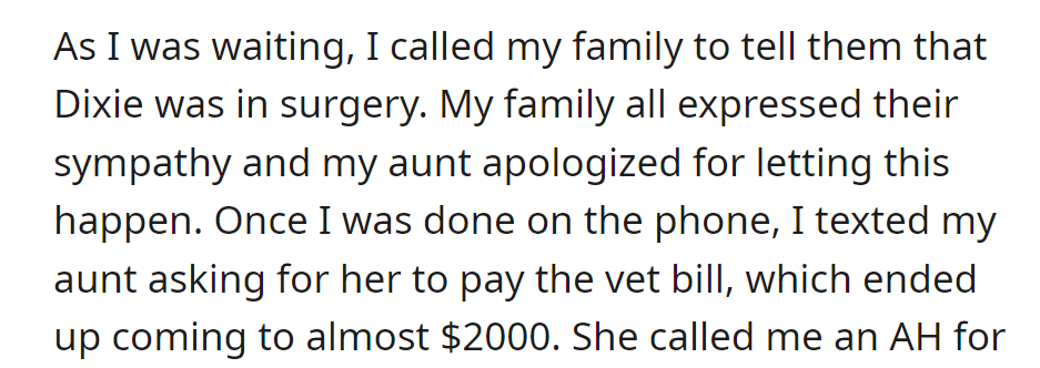 OP informed the family about Dixie's surgery. The aunt apologized, but OP asked her to cover the $2000 vet bill via text.
