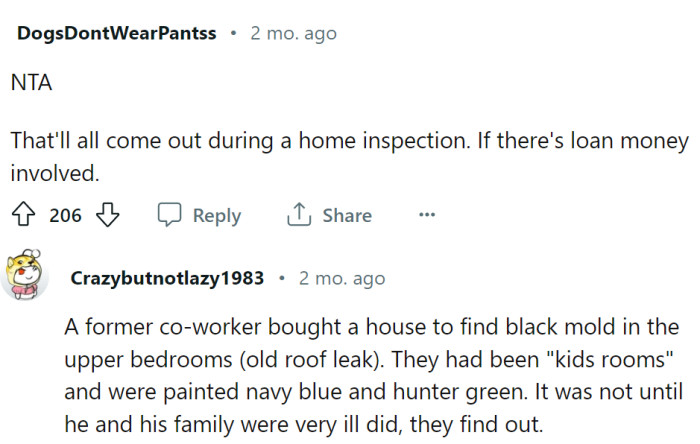 If the buyers are taking a loan, they will have to do a proper home inspection, but sometimes things like these get camouflaged