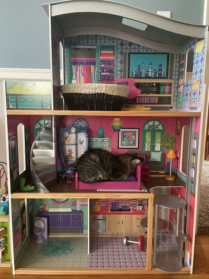 20. I Was Told To Post This Here. Taco’s Squatting In Barbie’s Bed