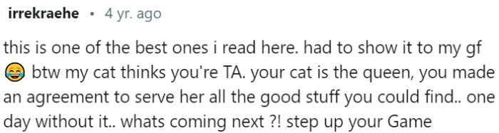 The Cat's Verdict: TA, Step Up Your Game!