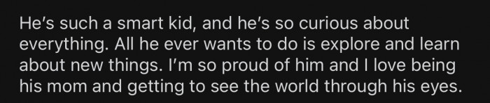 OP's son is quite smart and curious, and she enjoys seeing the world through his eyes.