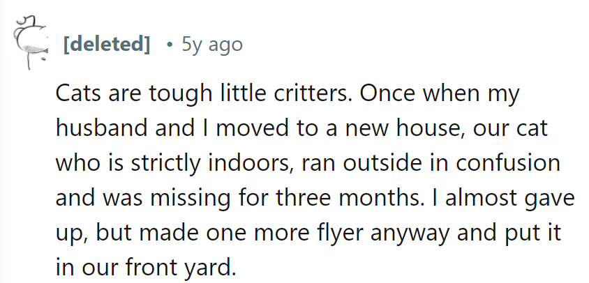 Cat's great escape lasted three months? Must've found a better hangout. Thank goodness for that last flyer!