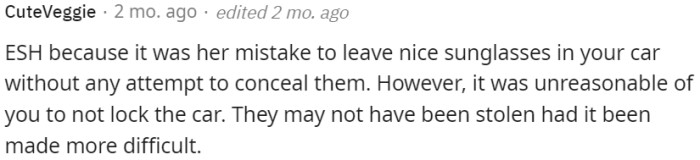 OP made a mistake by not locking the car, which could have prevented the theft