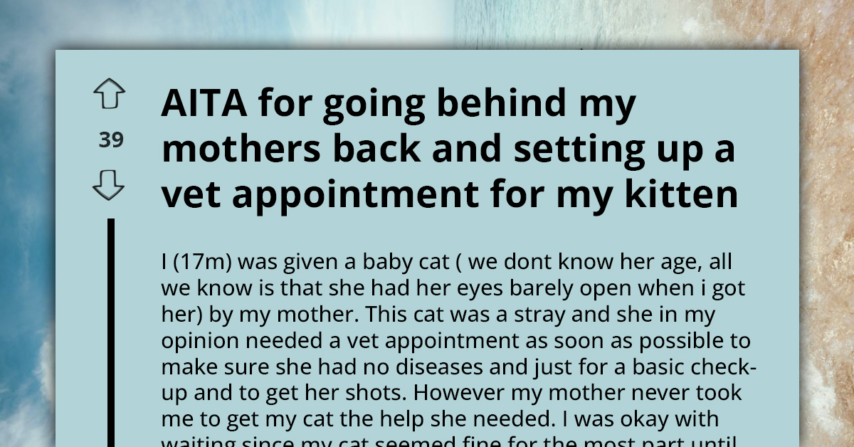 Teen Clashes with Mother After Secretly Planning Vet Visit for Sick Kitten