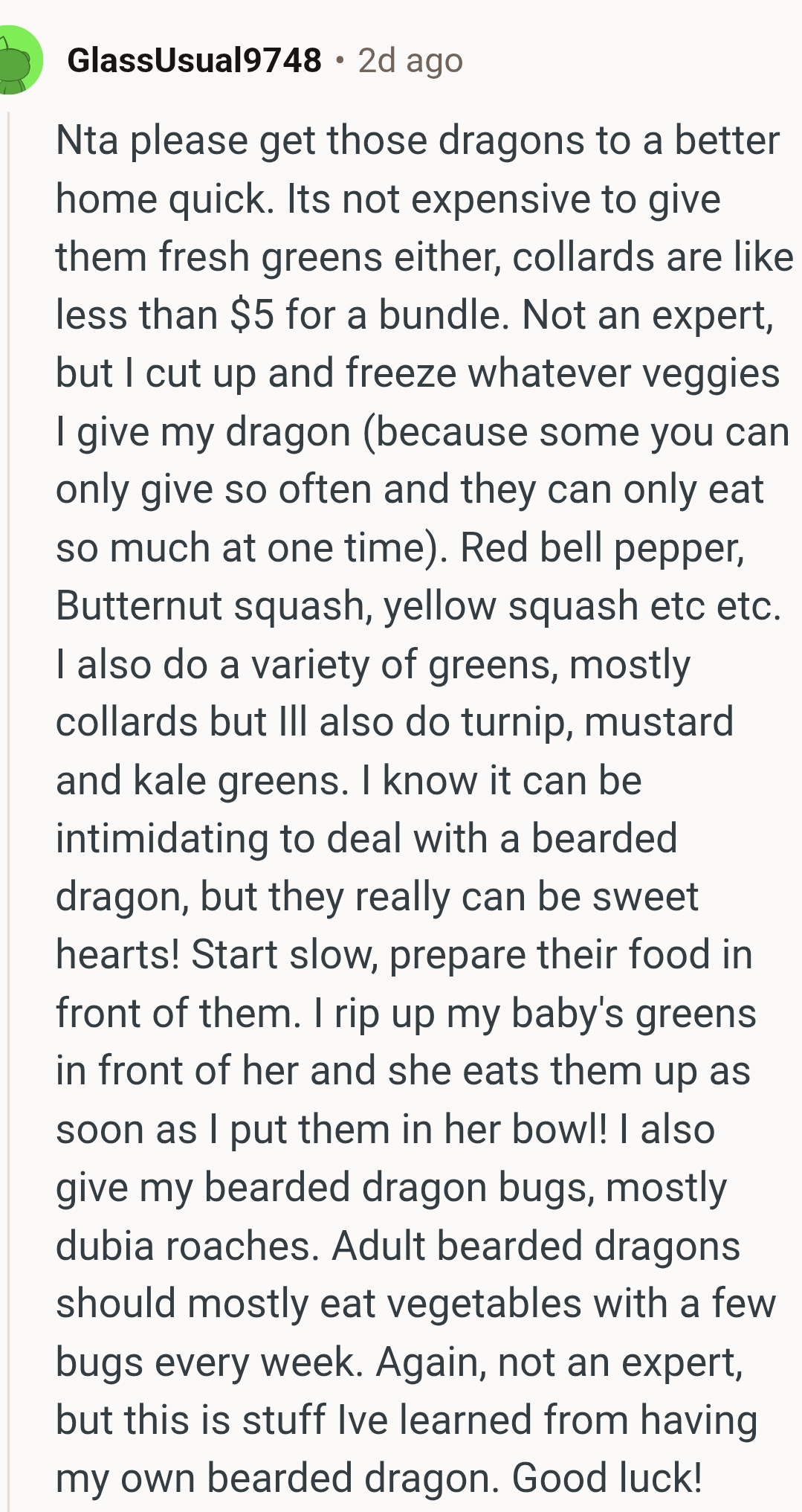 They Deserve a Better Home