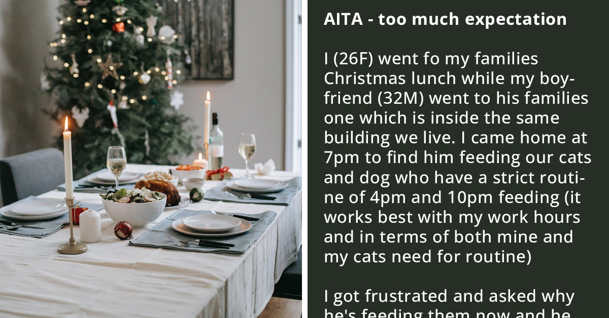 Woman Has Had It With Her Boyfriend Who Failed To Feed Her Cats On Time And Lacks The Initiative To Care For Pets