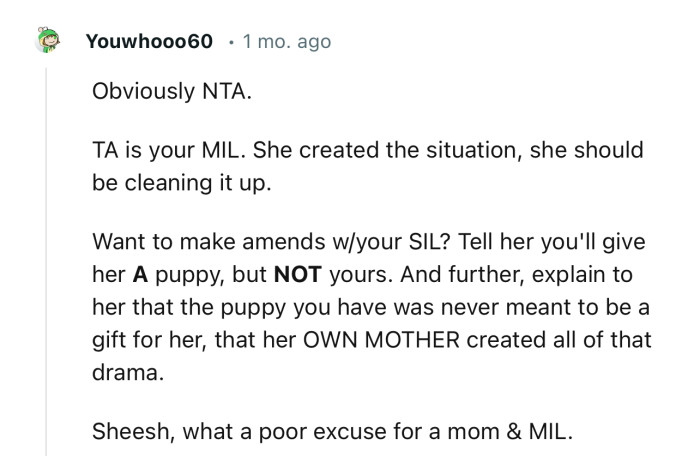 “Obviously NTA. TA is your MIL. She created the situation; she should be cleaning it up.”