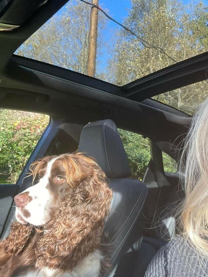 20. Just one of the girls, hair on point