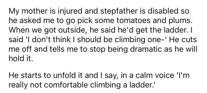 They asked the OP to help them pick some plums and tomatoes from the garden.