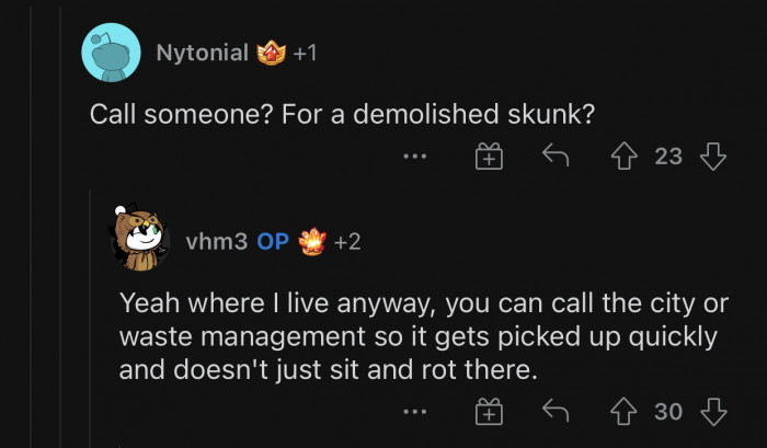 In some parts of the world, you have to report any animals you accidentally killed.