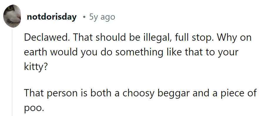 Declawing? More like deplorable. And as for that person? They're the cat's meow of bad decisions.