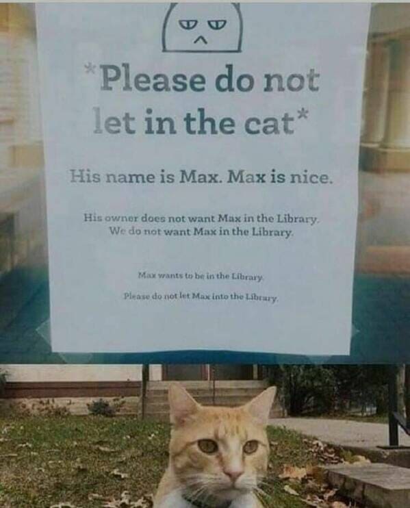 38. Do not let Max into the library