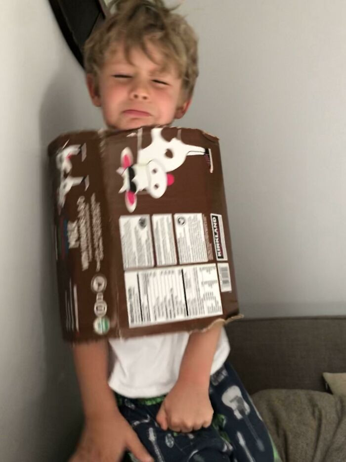 "My Nephew Got Upset Because He Got Stuck In The Box He Wanted To Wear"