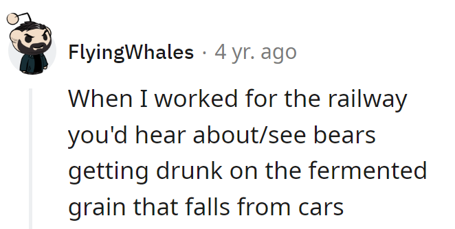 Even bears know how to enjoy a rail-side happy hour!